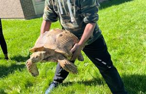 Man holding a turtle